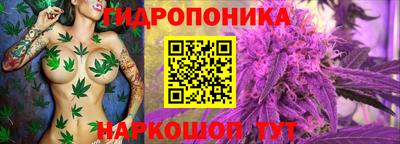 Альфа ПВП Тулун