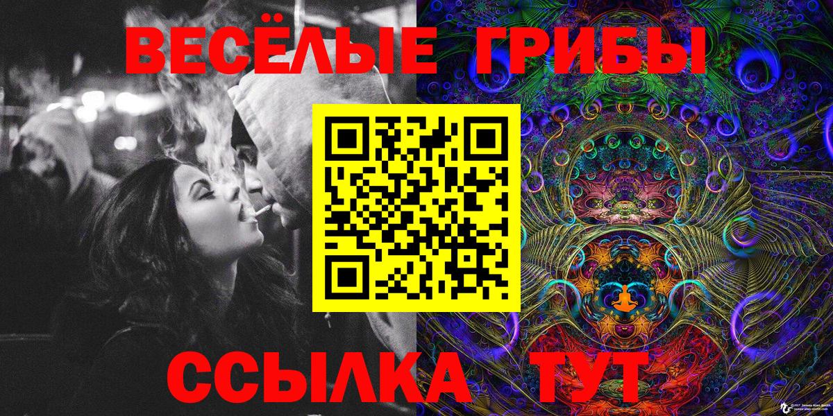 Галлюциногенные грибы GOLDEN TEACHER Екатеринбург