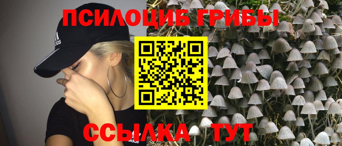 Псилоцибиновые грибы мухоморы  Галлюциногенные грибы Psilocybe  Вход с VPN  Екатеринбург 